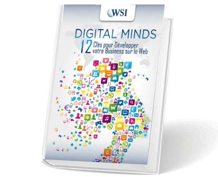 digital minds